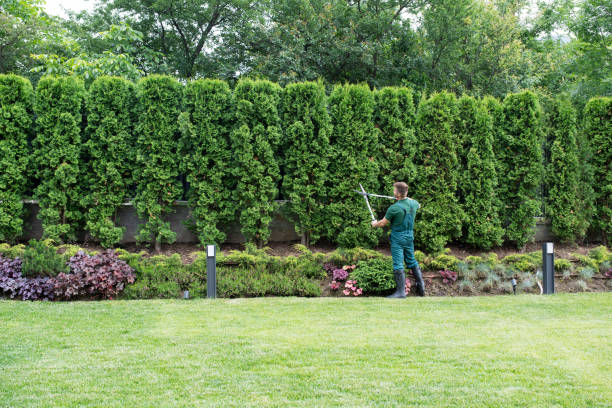 Best Pest Control for Lawns  in Bedford, OH